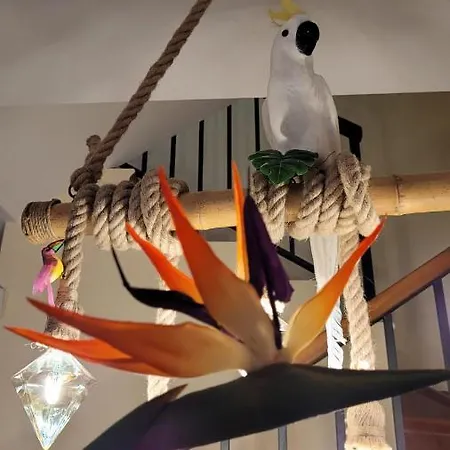 Residencial Oasis Park *