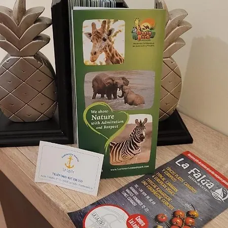 Residencial Oasis Park