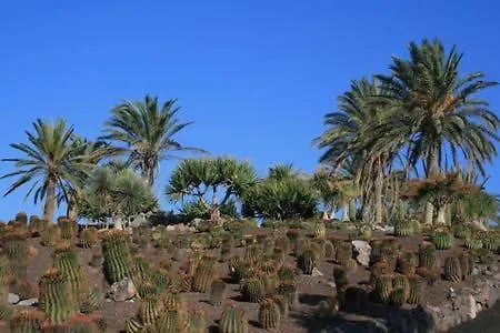 Residencial Oasis Park