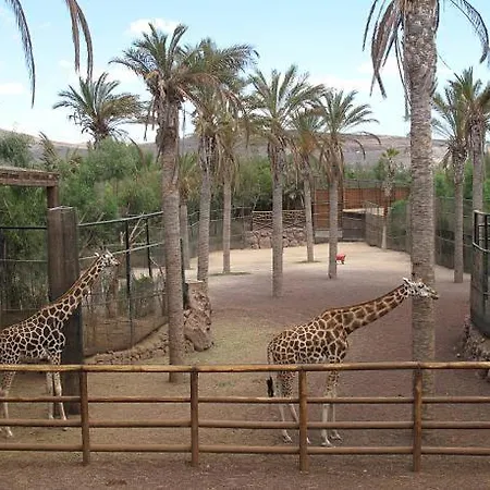 Residencial Oasis Park Apartament Lajita