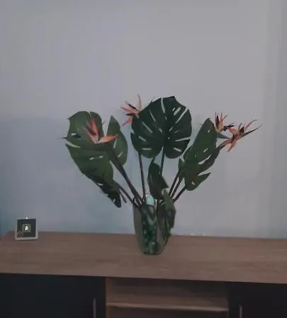 Apartament Residencial Oasis Park Lajita