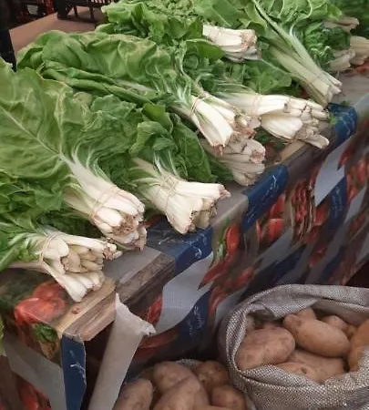 Apartament Residencial Oasis Park Lajita