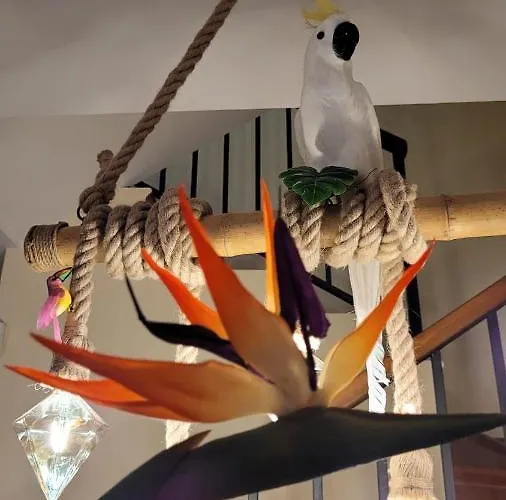 Residencial Oasis Park *