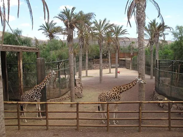 Residencial Oasis Park Apartment La Lajita